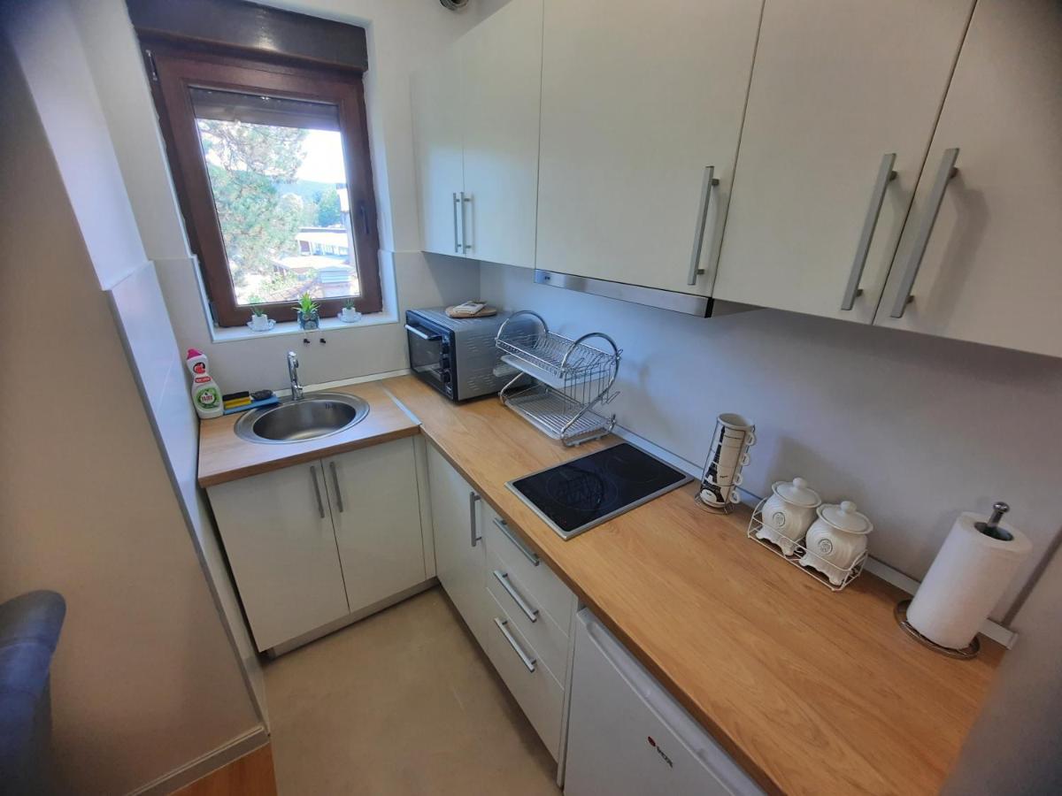 Apartman Koricanac Vrnjačka Banja Екстериор снимка